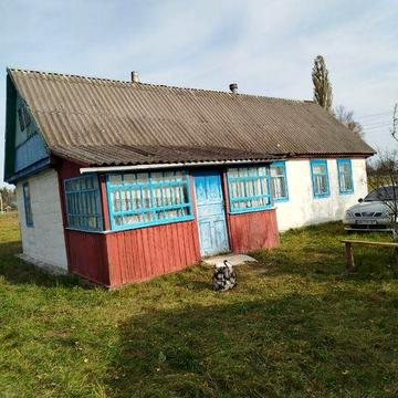 Хата в мальовничому селі