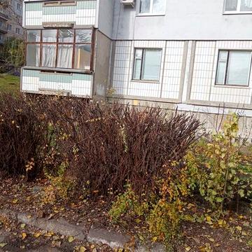 Продам 2оКім кв-ру на Типографії ЖК креп 2