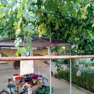 Продам житловий будинок разом із садибною ділянкою.