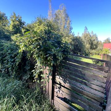 проспект Свободи