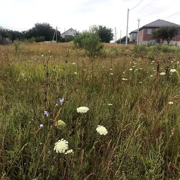 Надажинська