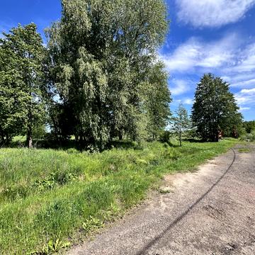 Михайлівка-Рубежівка, Бучанський, Київська область 100000.0 USD