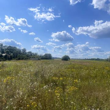 Чернинська вул.