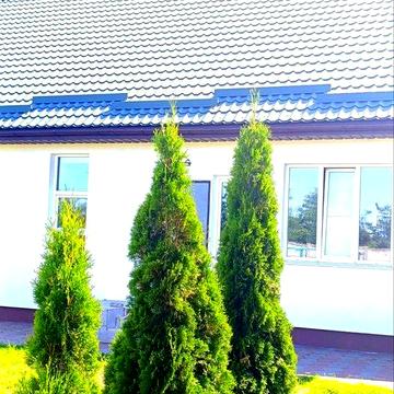 Новий будинок на Баварії, 15 соток, готовий бізнес