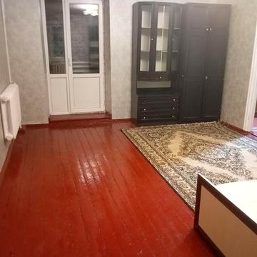 Можливе проживання з тваринками, центр