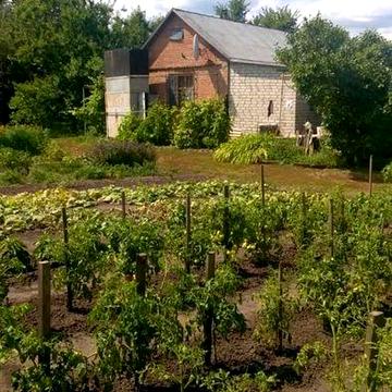 Дача/будинок 40 м² + 39 соток, 30 км від Полтави, с. Вільхівщина