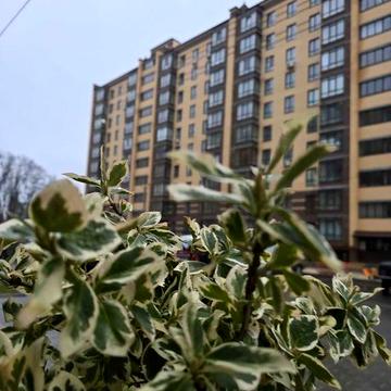 Масани | Лісовий-2 |Топ ціна | 70м² | 7поверх | Неймоівне планування ЖК Лісовий