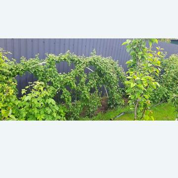 Продаж 4к Дім Дружби вулиця