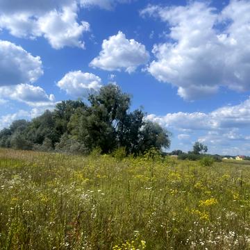 Чернинська вул.
