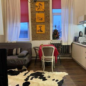 Квартира в центрі міста . Окремий вхід, автономне опалення. Є світло