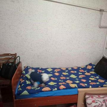 Здається в оренду маленький будинок