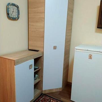 Довгострокова оренда 1к Квартира Камишова вулиця