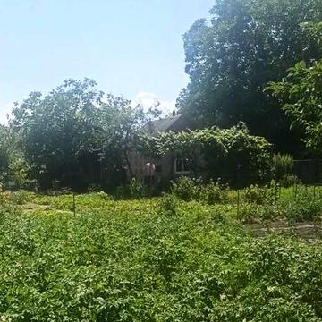 Продам Дачу Сади 3