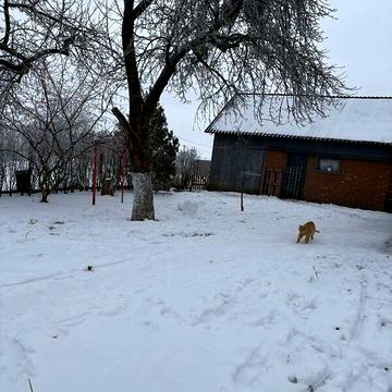 Продаж 1к Дім садова