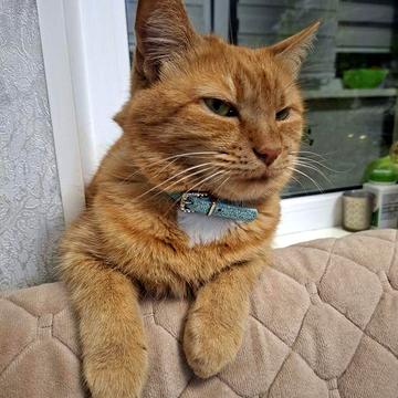 Качественный ремонт, заходи и живи! 3-к Бальзака, 56. ТОП состояние