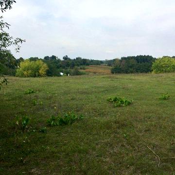 Озерна вул.