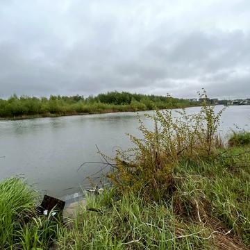 Виноградна вул., 33