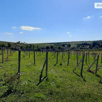 Продаж 3к Дім Добродівський Черемхів