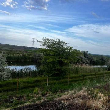 Продам дачу на берегу речки