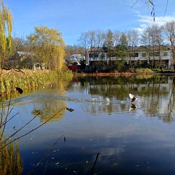 АКЦІЯ!- 5000$!Збудований будинок з виходом до озера,поруч з лісом!