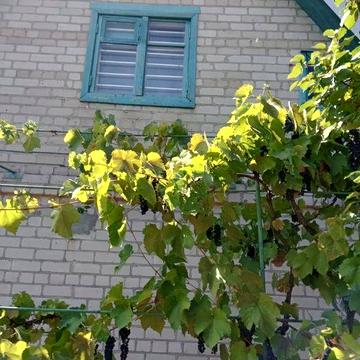 Продаётся  Дача, пгт.Лозоватка.