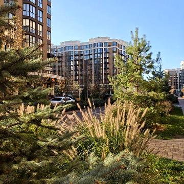 Двокімнатна квартира в Sofia Residence! Обжитий будинок, 2к без % ‼️ ЖК Sofia Residence