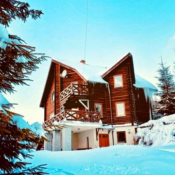 Будинок в Карпатах