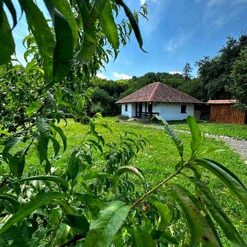 Здається будинок на Закарпатті для довгострокового проживання