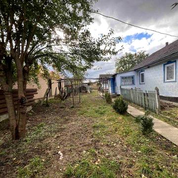 Житловий будиночок на великій ділянці