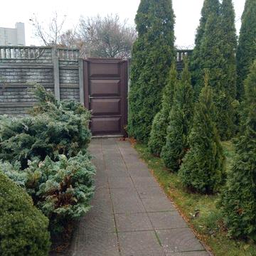 Сдам дом на долгий срок