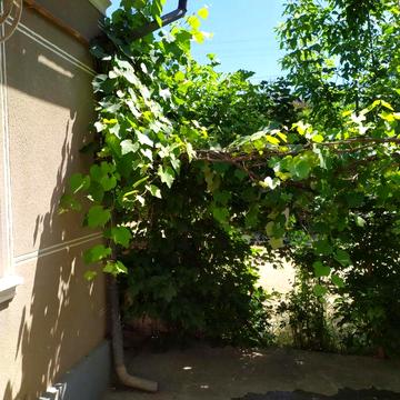 Будинок в Добрівляни(0м від м.Заліщики)+земельна ділянка.