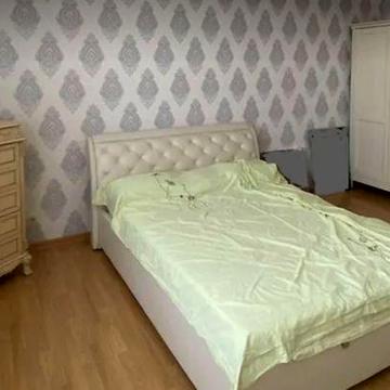 2 кімнатна квартира Олени Пчілки 2а