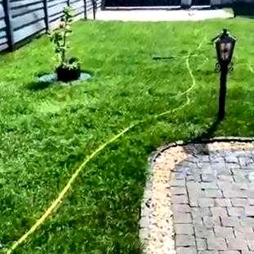 Здається окремо стоячий будинок 4-кім. вул. Липинського/ р-н Шевч.