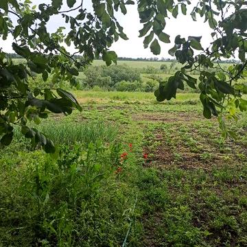 Продается дом Сурско Литовское