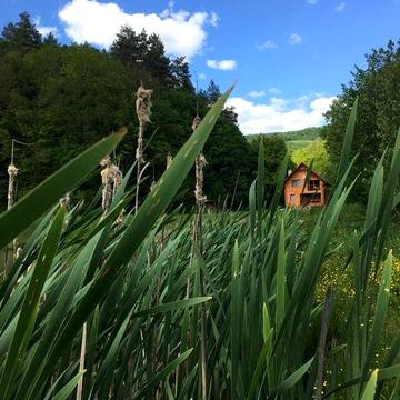Оренда будинку в Карпатах!