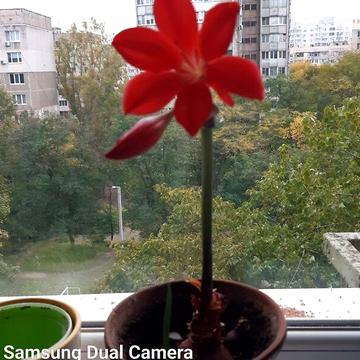 Довгострокова оренда 1к Квартира Балківська вулиця