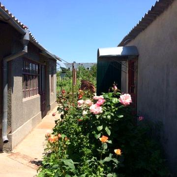 Продам дом (маг.Калинка) с садом, виноградником, огородом 10 соток