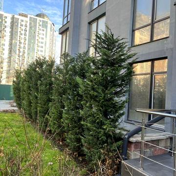 3х комн. Терраса 35 кв.м. ЄОселя. Приморские сады. Без комиссии. ЖК Приморские сады