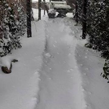 Дом с бассейном.