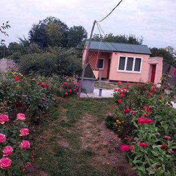 Дачна ділянка 0.25 гектара з будівлею 40 кв.м.