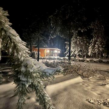 Продам будинок у сосновому лісі