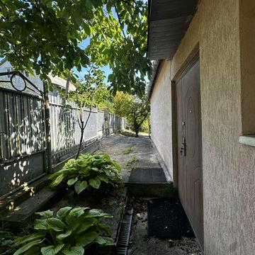 Дачний будинок та ділянка