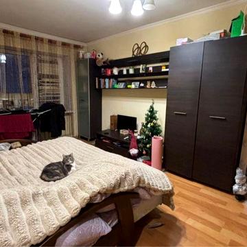 1 кімнатна квартира в центрі міста з кішкою