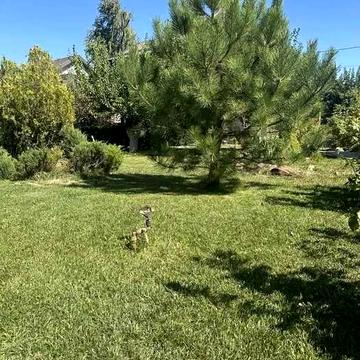 продам уютный дом 100 кв.м со всеми удобствами