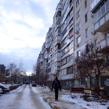 Здам квартиру в самому центрі, вул.Шевченка