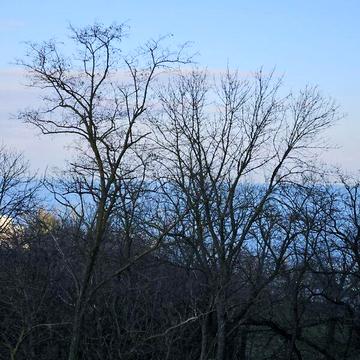 Продаж 2к Квартира Маячний провулок ЖК Marinist residence