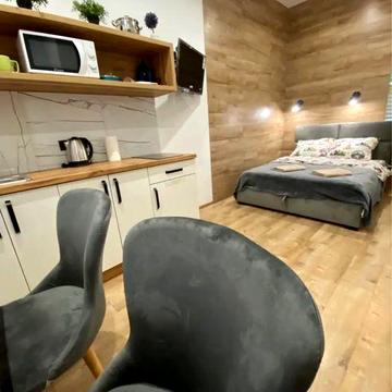 Оренда квартири на місяць, два від власника в центрі Львова.