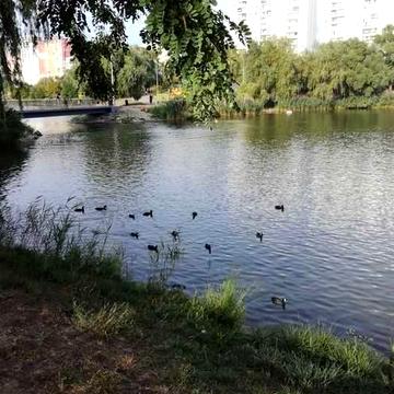 Сдам  СИМПАТИЧНУЮ 1 кв. Радужный массив.