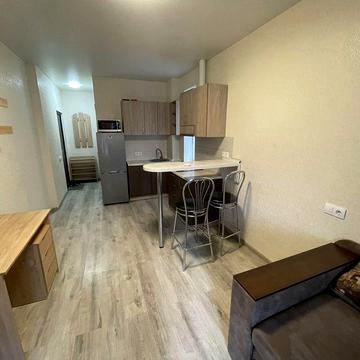 Аренда 1к кв ЦЕНТР ул Пишоновская, СВЕТ НЕ ОТКЛЮЧАЮТ