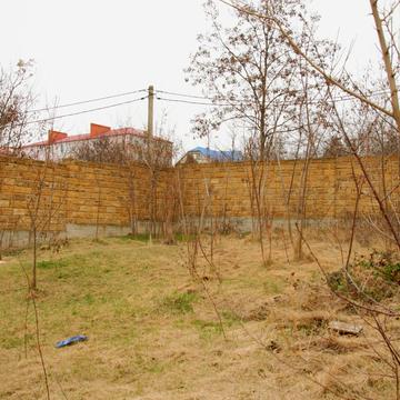 тетаральна